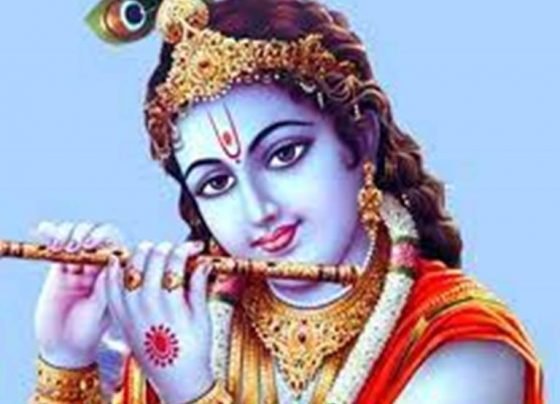 কৃষ্ণ (krishna)