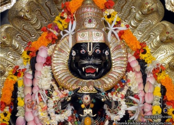 narasimha jayanti