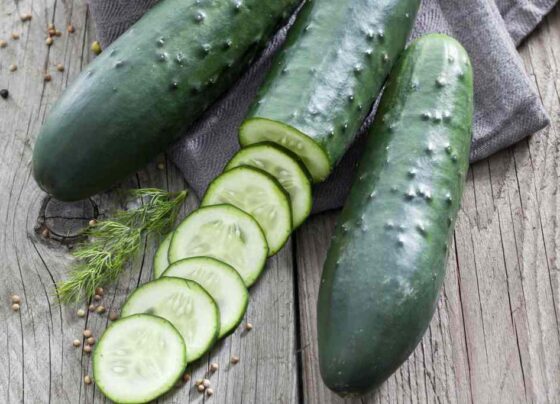 cucumber